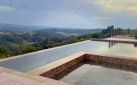 Villa Elisa: Piscine, Composite, Caractéristique De L'Eau