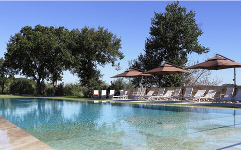 Poggio Mori 20: Piscine, L'Eau, Arbre, Réflexion, Mobilier De Jardin, Recours, Caractéristique De L'Eau, Jardin, Balancelle, Ombre