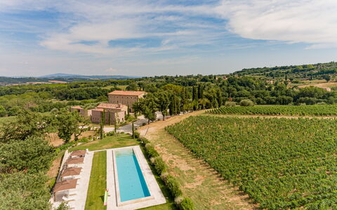 Poggio Mori 20: Paysage, Zone Rurale, Lot Terre, Plantation, Plaine, Agriculture, Biens, Champ, Ferme, Prairie