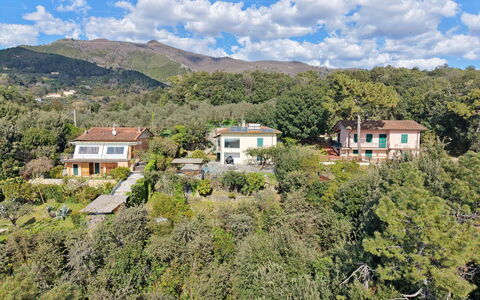 Villa Il Giardino: Végétation, Zone Rurale, Colline, Paysage, Zone Résidentielle, Maison, Montagnes, Communauté Des Plantes, Domicile, Station De Montagne