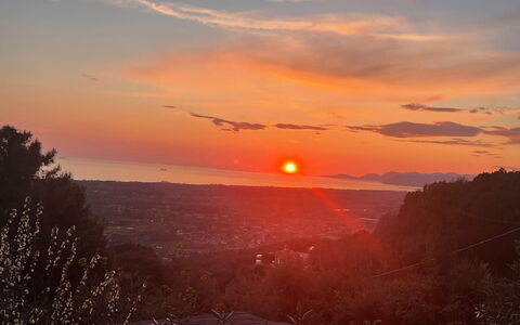 Villa Il Giardino: Ciel, Soleil, Afterglow, Jour, La Nature, Horizon, Le Coucher Du Soleil, Orange, Crépuscule, Branche