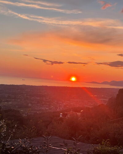 Villa Il Giardino: Ciel, Soleil, Afterglow, Jour, La Nature, Horizon, Le Coucher Du Soleil, Orange, Crépuscule, Branche