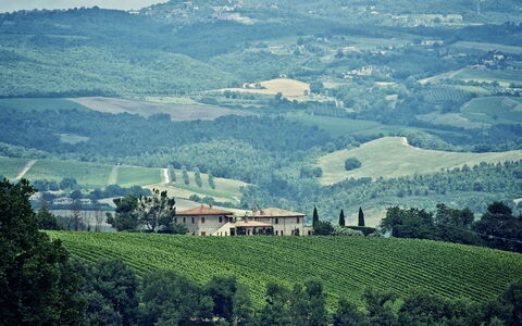 Selvamica: Colline, Paysage Naturel, Montagnes, Horizon, Prairie, Paysage, Agriculture, Zone Rurale, Champ, Plantation