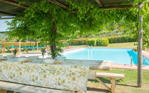 Martini: Ombre, Jardin, Piscine, Eco Hôtel, Hacienda, Mobilier De Jardin, Recours, Arrière-Cour, Plantation, Structure En Plein Air