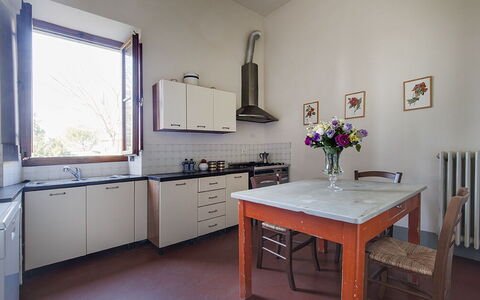 Martini: Sol, Cuisine, Design Intérieur, Appareil De Cuisine, Meubles, Comptoir, Cabinetry, Domicile, Sol, Principaux Appliance