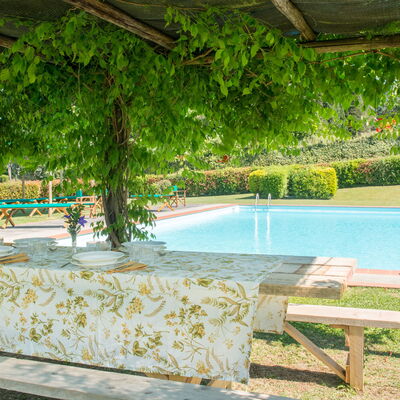 Martini: Ombre, Jardin, Piscine, Eco Hôtel, Hacienda, Mobilier De Jardin, Recours, Arrière-Cour, Plantation, Structure En Plein Air