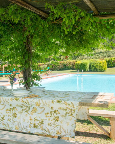 Martini: Ombre, Jardin, Piscine, Eco Hôtel, Hacienda, Mobilier De Jardin, Recours, Arrière-Cour, Plantation, Structure En Plein Air