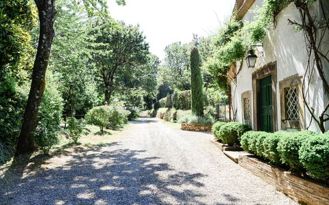 Fattoria: Arbuste, Jardin, Allée, Aménagement Paysager, Ombre, Passerelle, Jardin Botanique, Haie, Plantation, Piste