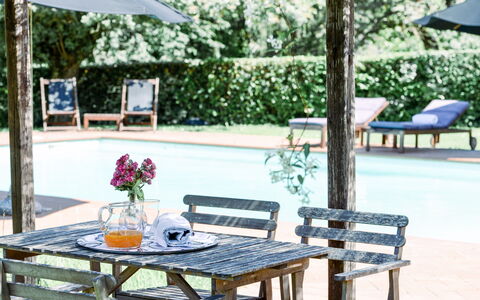 Fattoria: Meubles, Mobilier De Jardin, Tableau De Plein Air, Chaise, Ombre, Jardin, Pot De Fleur, Loisir, Arrière-Cour, Extérieur Banc