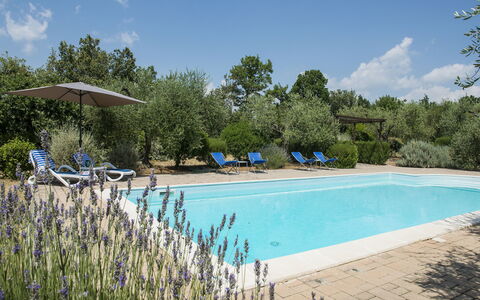 Villa El Olivar: Piscine, Jardin, Biens, Aménagement Paysager, Mobilier De Jardin, Hacienda, Recours, Villa, Arrière-Cour, Ferme