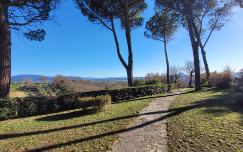 Villa El Olivar: Ciel, Bleu, Feuille, Arbre, Vert, Environnement Naturel, La Nature, Branche, Végétation, Paysage Naturel
