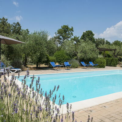 Villa El Olivar: Piscine, Jardin, Biens, Aménagement Paysager, Mobilier De Jardin, Hacienda, Recours, Villa, Arrière-Cour, Ferme
