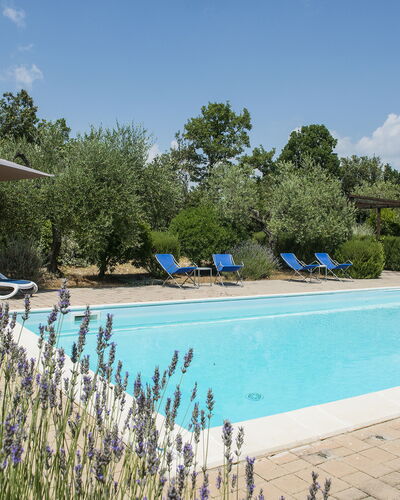 Villa El Olivar: Piscine, Jardin, Biens, Aménagement Paysager, Mobilier De Jardin, Hacienda, Recours, Villa, Arrière-Cour, Ferme