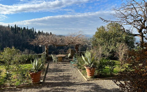 Villa Il Casalino, Florentine Hills with Pool: Végétation, Arbuste, Paysage, Communauté Des Plantes, Pot De Fleur, Jardin, Aménagement Paysager, Jardin Botanique, Passerelle