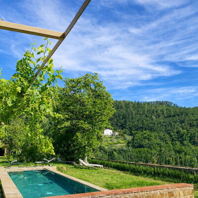 Villa Il Casalino, Florentine Hills with Pool: Station De Montagne, Eco Hôtel, Piscine, Ferme, Plantation, Arrière-Cour