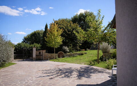 Villa Montepulciano Vineyard: Arbuste, Jardin, Dalle, Ombre, Allée, Aménagement Paysager, Passerelle, Arrière-Cour, Cour