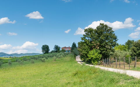 Agriturismo le Due Querce: Ciel, Herbe, Vert, Environnement Naturel, La Nature, Paysage Naturel, Prairie, Plaine, Paysage