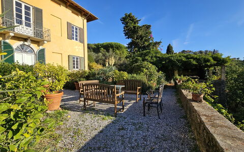 Villa Il Torrazzo, Vista Mare, Massarosa: Végétation, Arbuste, Lot Terre, Domicile, Couverture De Sol, Jardin, Biens, Printemps, Chalet, Aménagement Paysager