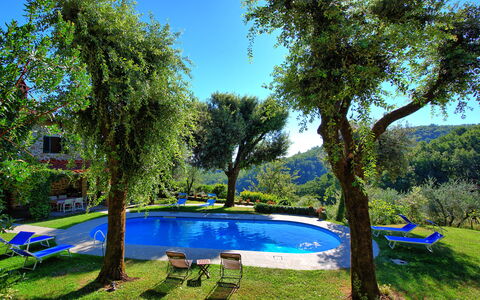 Villa Ulivacci: Bleu, Piscine, Jardin, Ombre, Mobilier De Jardin, Hacienda, Eco Hôtel, Aménagement Paysager, Arrière-Cour, Pelouse
