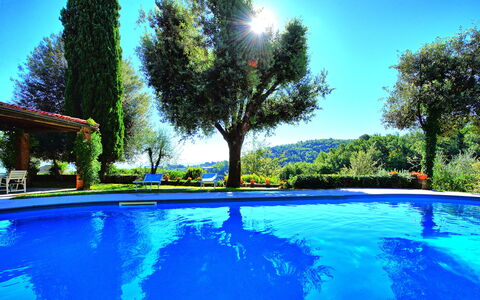 Villa Ulivacci: Bleu, Piscine, Jardin, Aménagement Paysager, Loisir, Eco Hôtel, Recours, Ombre, Hacienda, Arrière-Cour
