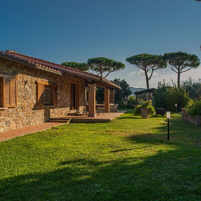 Villa Bolgheri Vermentino Castagneto Carducci: Bois, Domicile, Chalet, Maison, Toit, Biens, Lot Terre, Zone Rurale, Ferme, Jardin