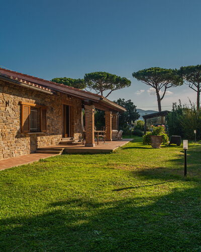 Villa Bolgheri Vermentino Castagneto Carducci: Bois, Domicile, Chalet, Maison, Toit, Biens, Lot Terre, Zone Rurale, Ferme, Jardin