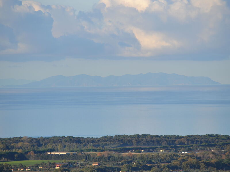 Villa Bolgheri Vermentino Castagneto Carducci