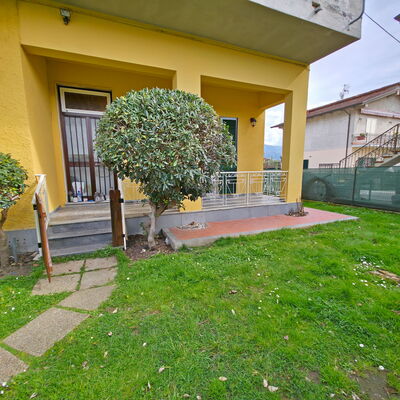 Casa Serena: Arbuste, Jardin, Pelouse, Cour, Arrière-Cour, Aménagement Paysager, Ombre, Haie, Cour, Passerelle