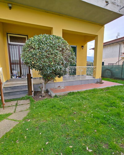 Casa Serena: Arbuste, Jardin, Pelouse, Cour, Arrière-Cour, Aménagement Paysager, Ombre, Haie, Cour, Passerelle