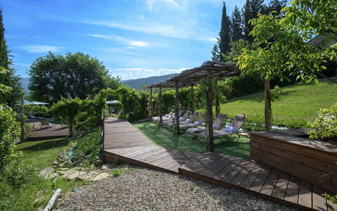 Villa Grevigiana: Arbuste, Paysage, Jardin, Communauté Des Plantes, Lot Terre, Ombre, Couverture De Sol, Mobilier De Jardin, Aménagement Paysager, Structure En Plein Air