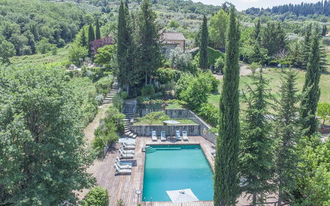 Villa Grevigiana: Arbre, Végétation, Arbuste, Paysage, Communauté Des Plantes, Jardin, Aménagement Paysager, Piscine, À Feuilles Persistantes