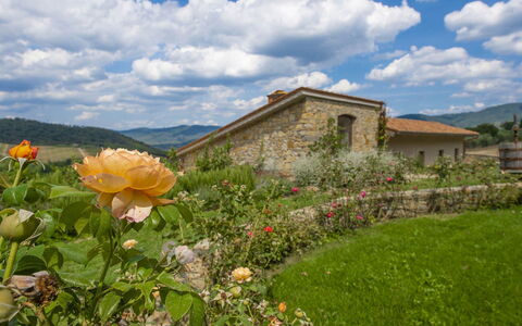 Villa del Fattore: Colline, Paysage, Nuage, Arbuste, Zone Rurale, Chalet, Ferme, Jardin, Prairie