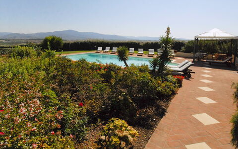 Villa Michelangelo: Jardin, Piscine, Hacienda, Eco Hôtel, Aménagement Paysager, Recours, Cour, Plantation, Ferme, Villa