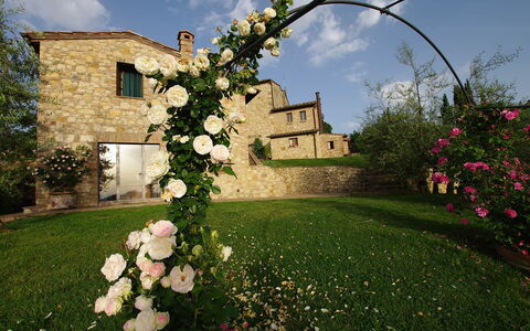 Villa Incanto: Fleur, Pétale, Printemps, Jardin, Roses Jardin, Famille Rose, Floristique, Aménagement Paysager, Rose