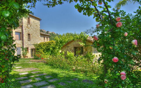 Villa Incanto: Fleur, Arbuste, Jardin, Pétale, Printemps, Aménagement Paysager, Plante Herbacée, Arrière-Cour, Cour, Famille Rose