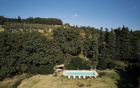 Villa Novellina: Loisir, Des Loisirs, Piscine, Vacances, À Feuilles Persistantes, Plantation, Famille Pine, Eco Hôtel