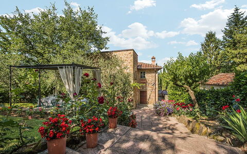 Villa Panorama: Arbuste, Jardin, Printemps, Pot De Fleur, Arrière-Cour, Aménagement Paysager, Cour, Brique, Plante D'Appartement