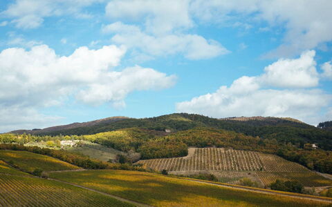 Villa Torre del Chianti: Montagnes Relief, Colline, Paysage Naturel, Montagne, Montagnes, Paysage, Prairie, Écorégion, Zone Rurale, Champ