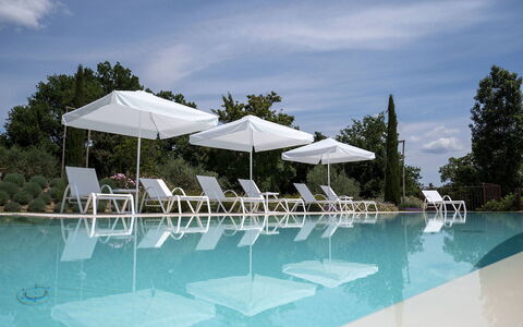Villa Ripa: Piscine, Mobilier De Jardin, Meubles, Recours, Balancelle, Chaise, Eco Hôtel, Ombre, Parapluie, Ville Resort