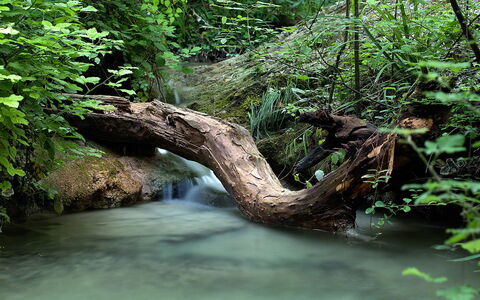 Borgo di San Biagio: Ressources En Eau, L'Eau, Plan D'Eau, La Nature, Cours D'Eau, Vert, Environnement Naturel, Courant, Végétation, Branche