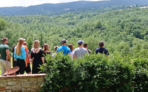 Villa Campo al Vento - Country Farm: Environnement Naturel, La Nature, Feuille, Été, Des Loisirs, Colline, Paysage, Loisir, Communauté Des Plantes, Printemps