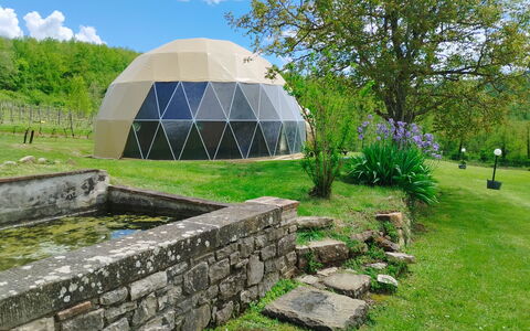 Villa Campo al Vento - Country Farm: Herbe, Dôme, Dôme, Jardin, Prairie, Aménagement Paysager, Jardin Botanique, Parc, Plantation