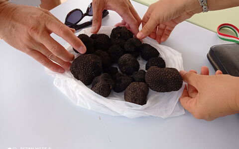 Villa Campo al Vento - Country Farm: Ingrédient, Aliments, Champignons