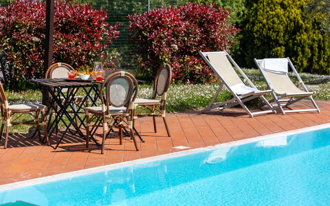 Il Leccio, Vinci, Private Pool and Tennis: Piscine, Mobilier De Jardin, Recours, Meubles, Eco Hôtel, Ombre, Chaise, Balancelle, Pot De Fleur, Plante D'Appartement