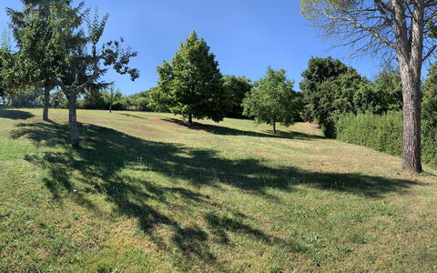 Casa Chimera: Arbre, Herbe, Environnement Naturel, Branche, Prairie, Plaine, Lot Terre, Pâturage, Tronc