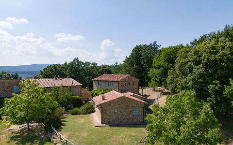 Casa Stella Serena, Podere le Scopaie, Pool: Arbre, Zone Rurale, Lot Terre, Chalet, Biens, Des Loisirs, Village, Prairie, Ferme, Parc