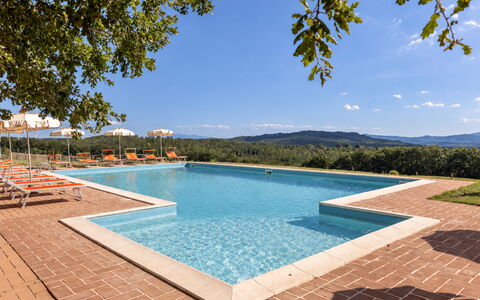 Casa Stella Serena, Casole D'Elsa, Pool: Piscine, Eco Hôtel, Recours, Biens, Hacienda, Ferme, Villa, Aménagement Paysager, Ville Resort, Hôtel