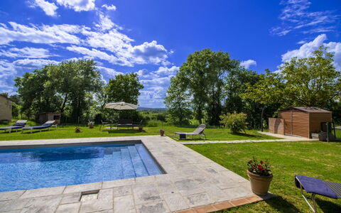 Gli Ulivi: Arbre, Piscine, Jardin, Ombre, Aménagement Paysager, Pelouse, Biens, Arrière-Cour, Cour, Conception