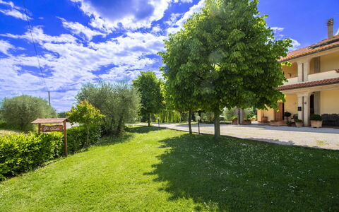 Gli Ulivi