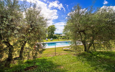 Gli Ulivi: Pelouse, Jardin, Prairie, Ombre, Parc, Aménagement Paysager